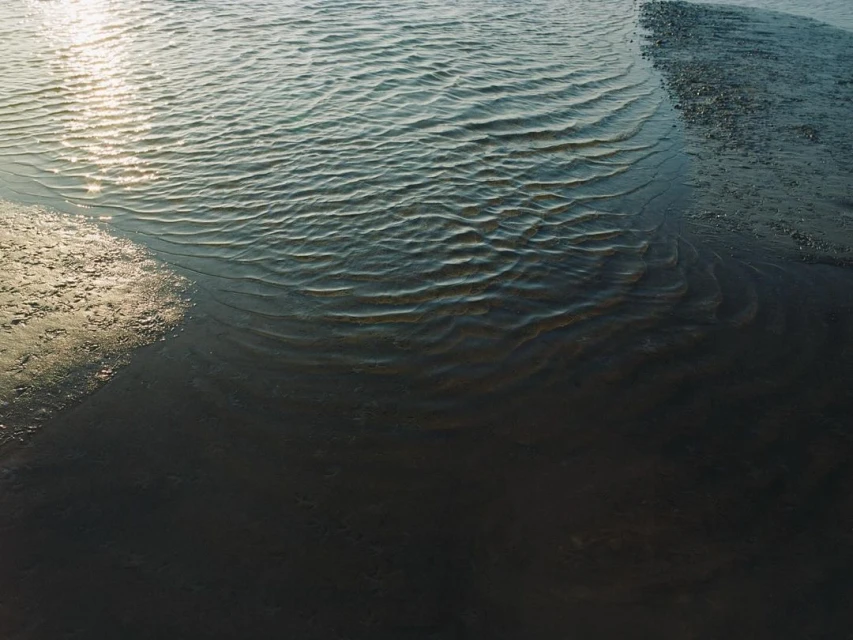 Sunlight reflecting off the rippled surface of water meeting a sandy beach shore, creating a textured and glistening waterscape.