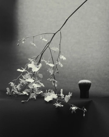Monochrome still life: A sprig of delicate white flowers drapes alongside a makeup brush against a softly gradient grey background.