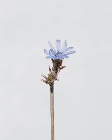 Aude Le Barbey