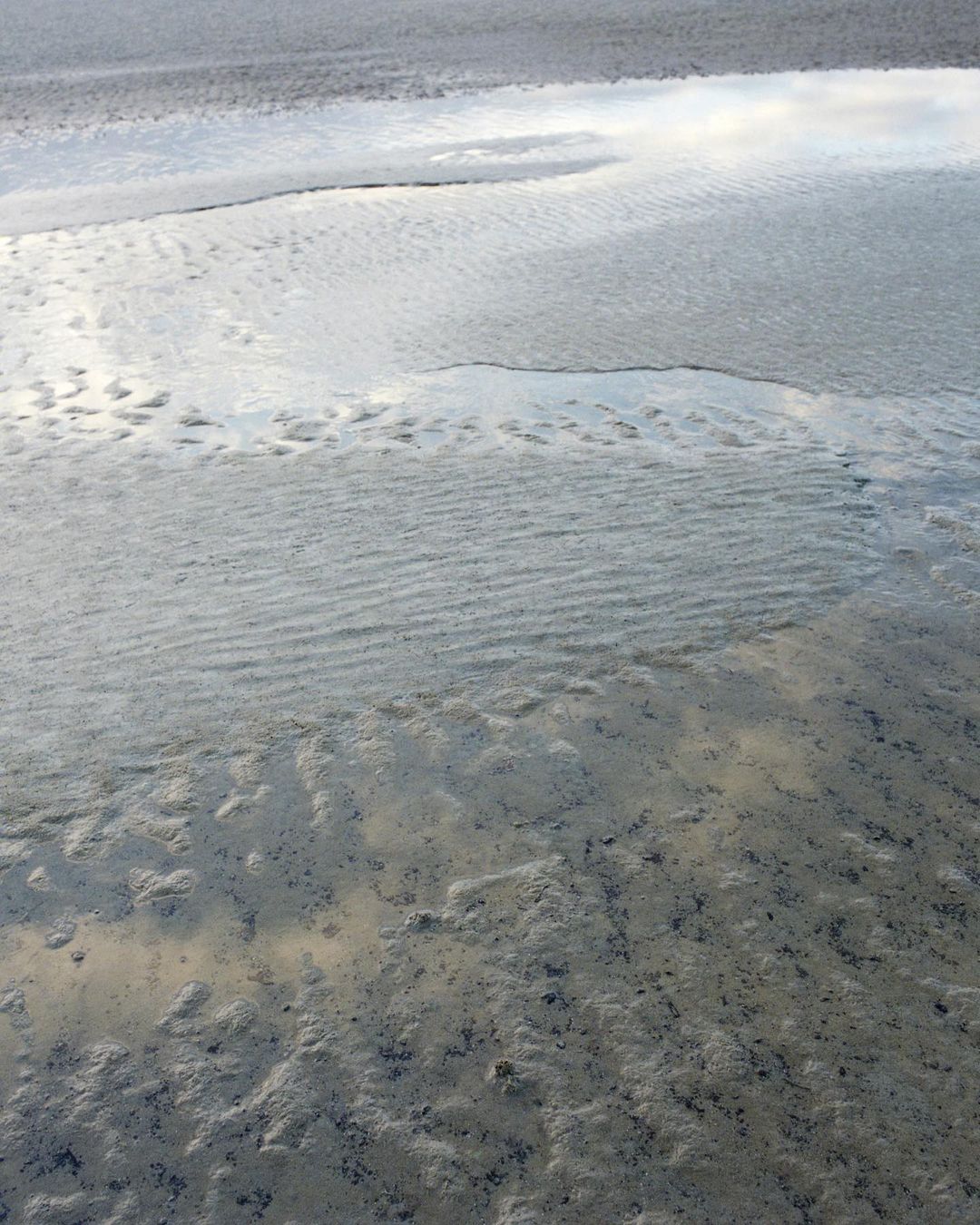 Silver-toned flat landscape with subtle sand textures, low light, and a shallow depth of field showing a calm, natural setting.