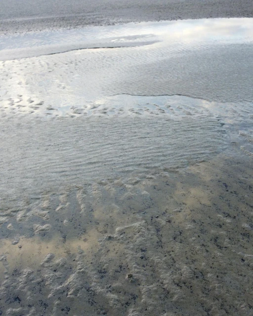 Silver-toned flat landscape with subtle sand textures, low light, and a shallow depth of field showing a calm, natural setting.