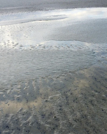 Silver-toned flat landscape with subtle sand textures, low light, and a shallow depth of field showing a calm, natural setting.