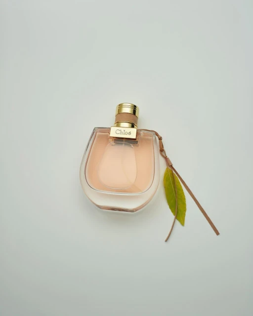 Close-up of a perfume bottle with a gold cap and a green leaf, set against a light background, suggesting a clean and elegant fragrance.