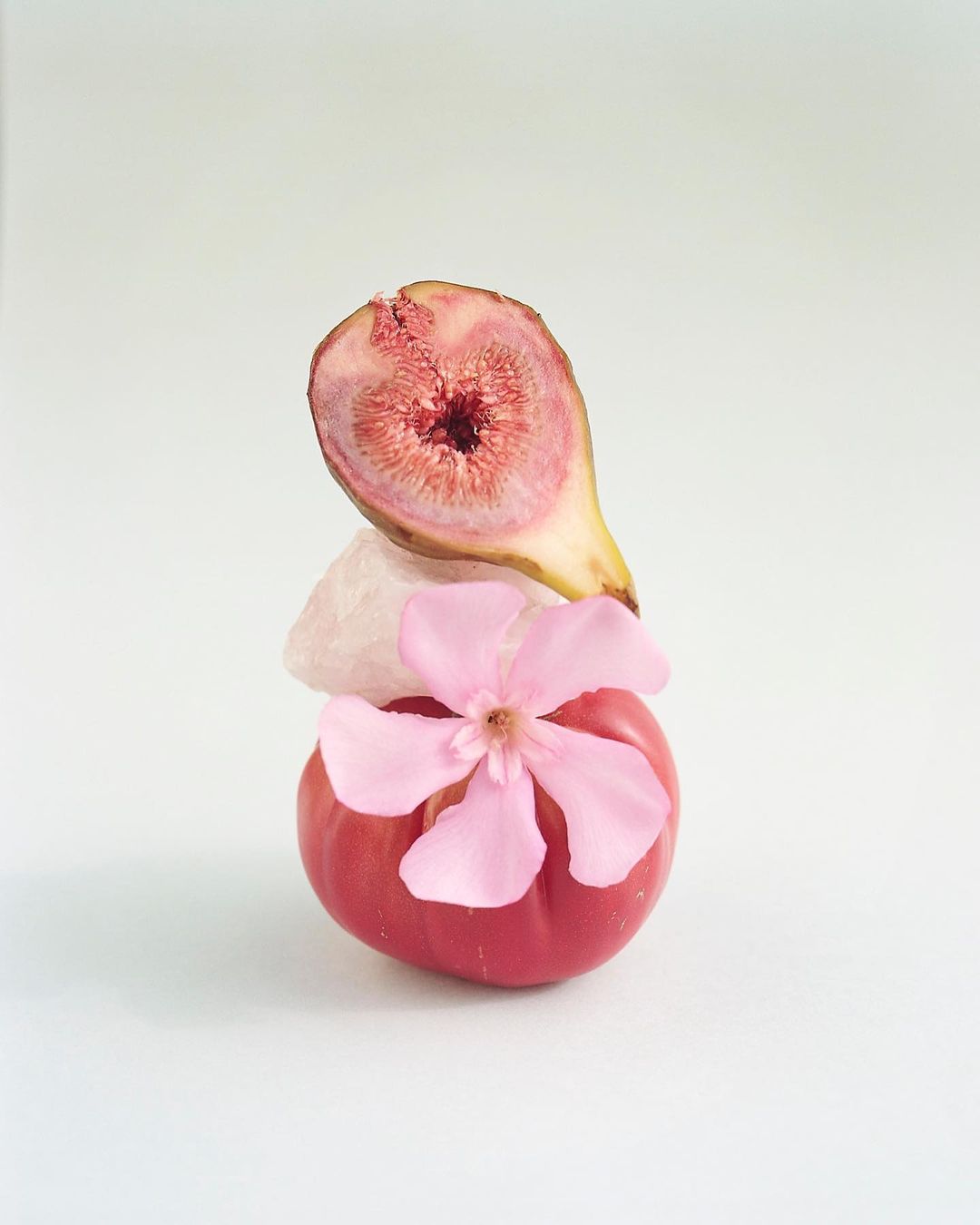 Still life arrangement featuring a cut fig, white stone, pink flower, and tomato stacked vertically on a light background.