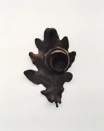Overhead studio shot of a dark brown glazed ceramic ring holder sitting on a textured brown leaf against a clean white backdrop.