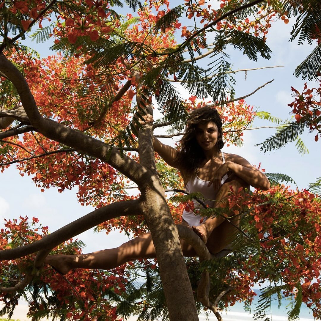 Woman sits in a flowering tree against a blue sky. Branches with red flowers frame the woman in a white top surrounded by nature.