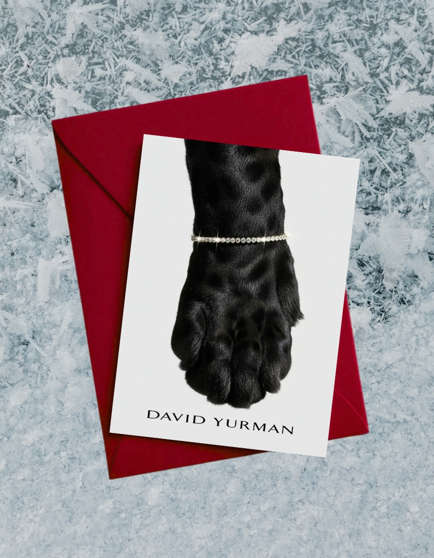 High-angle studio shot of a greeting card on a mottled icy blue surface, featuring a black dog paw adorned with a diamond bracelet.