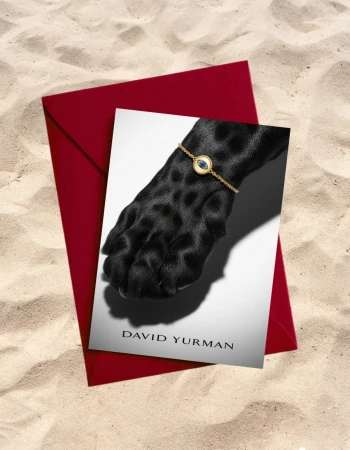 Gold bracelet with blue gemstone on a black dog's paw presented on a greeting card next to a red envelope against a sand background.