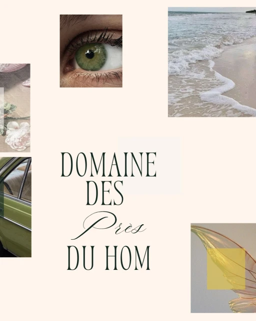 Collage with a green eye, beach scene, vintage car detail, a flower, and text 'Domaine Des Prés Du Hom' on a light background.