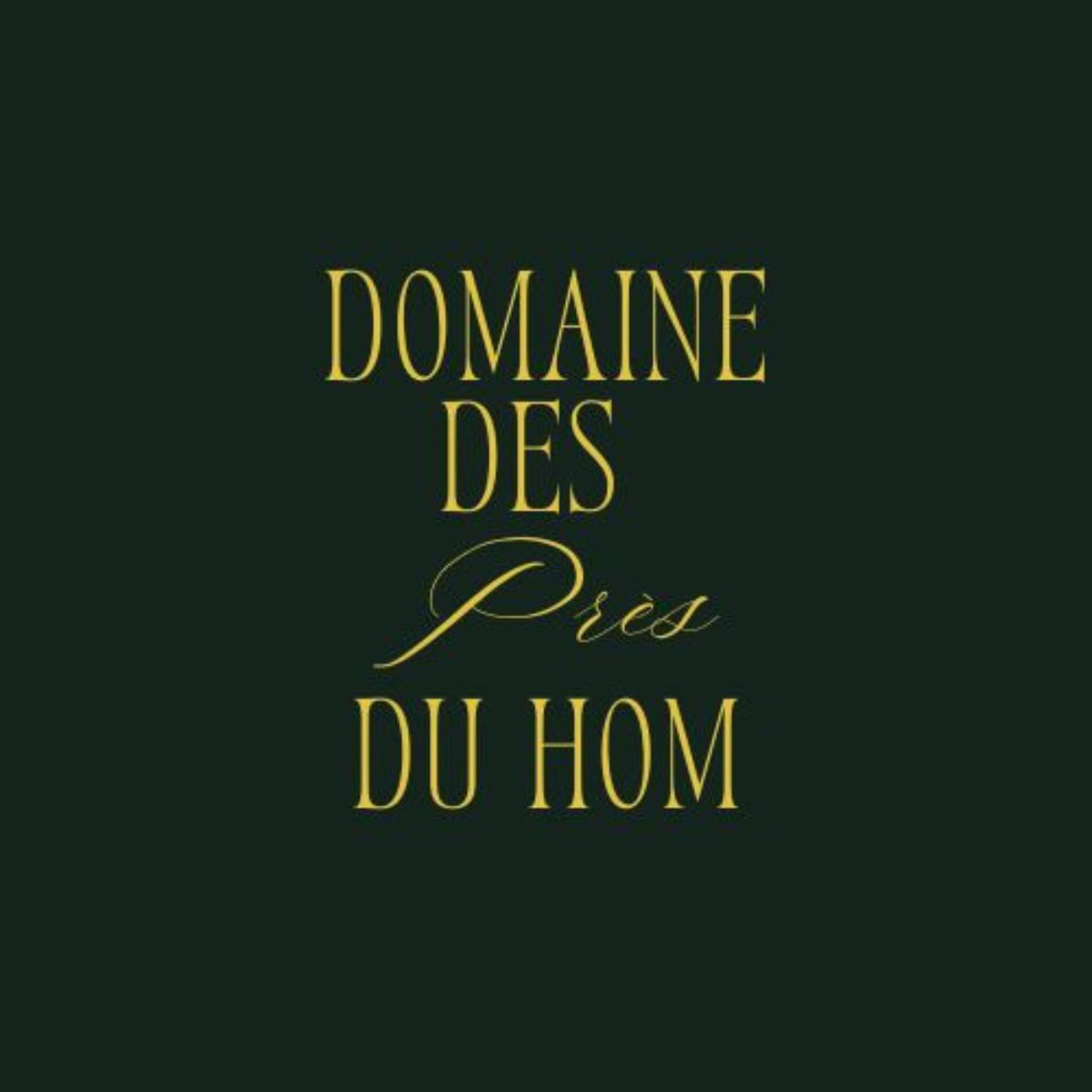 Elegant logo with gold text on a dark green background featuring the text 'DOMAINE DES Prés DU HOM', evoking a sense of sophistication.