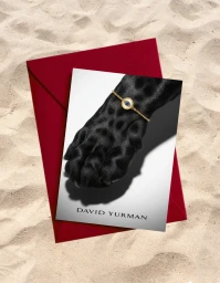 David Yurman card featuring a black animal paw wearing a gold bracelet, set on a red envelope over sand.