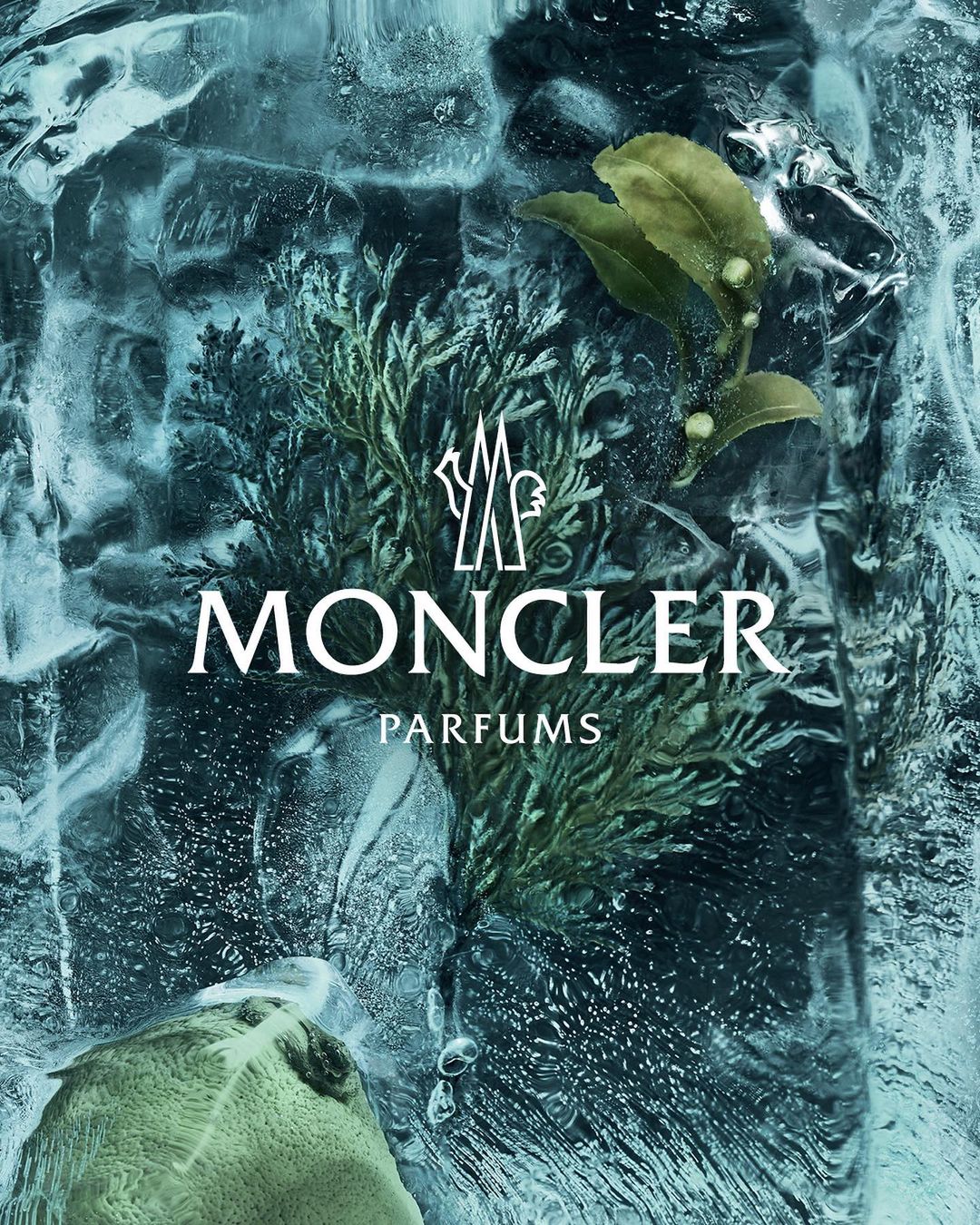 Moncler Parfums advertisement features ice with frozen plant sprigs in shades of green and white text logo on a dark blue background.