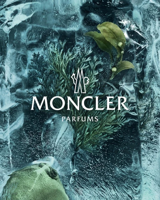 Moncler Parfums advertisement features ice with frozen plant sprigs in shades of green and white text logo on a dark blue background.