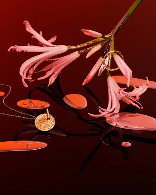 Still life shot of delicate pink lilies with dew drops, gold jewelry, and glossy shapes on a dark, reflective surface.