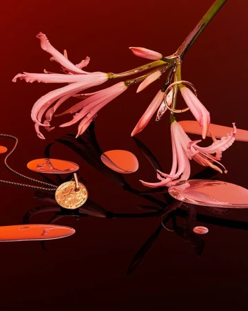 Still life shot of delicate pink lilies with dew drops, gold jewelry, and glossy shapes on a dark, reflective surface.