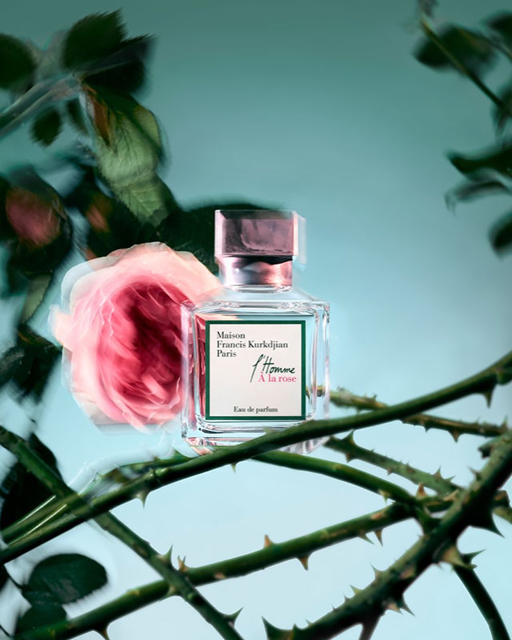 Clear glass perfume bottle by Maison Francis Kurkdjian Paris, with pink rose and thorny green stems on light blue background.