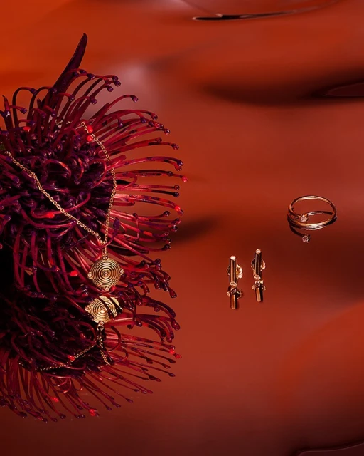 Still-life shot of gold jewelry featuring a necklace, a ring, and dangling earrings displayed with a vibrant red pincushion protea flower.