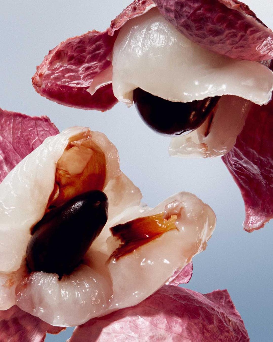 Macro shot of lychee fruits with dark seeds, light flesh, and pink outer skin, set against a pale blue background in studio lighting.