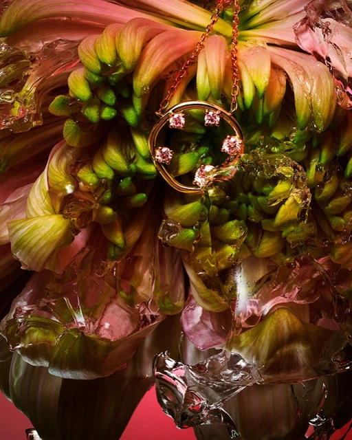 A round gold necklace with diamonds rests on a large flower with green and pink petals and ice fragments for a still life product shot.