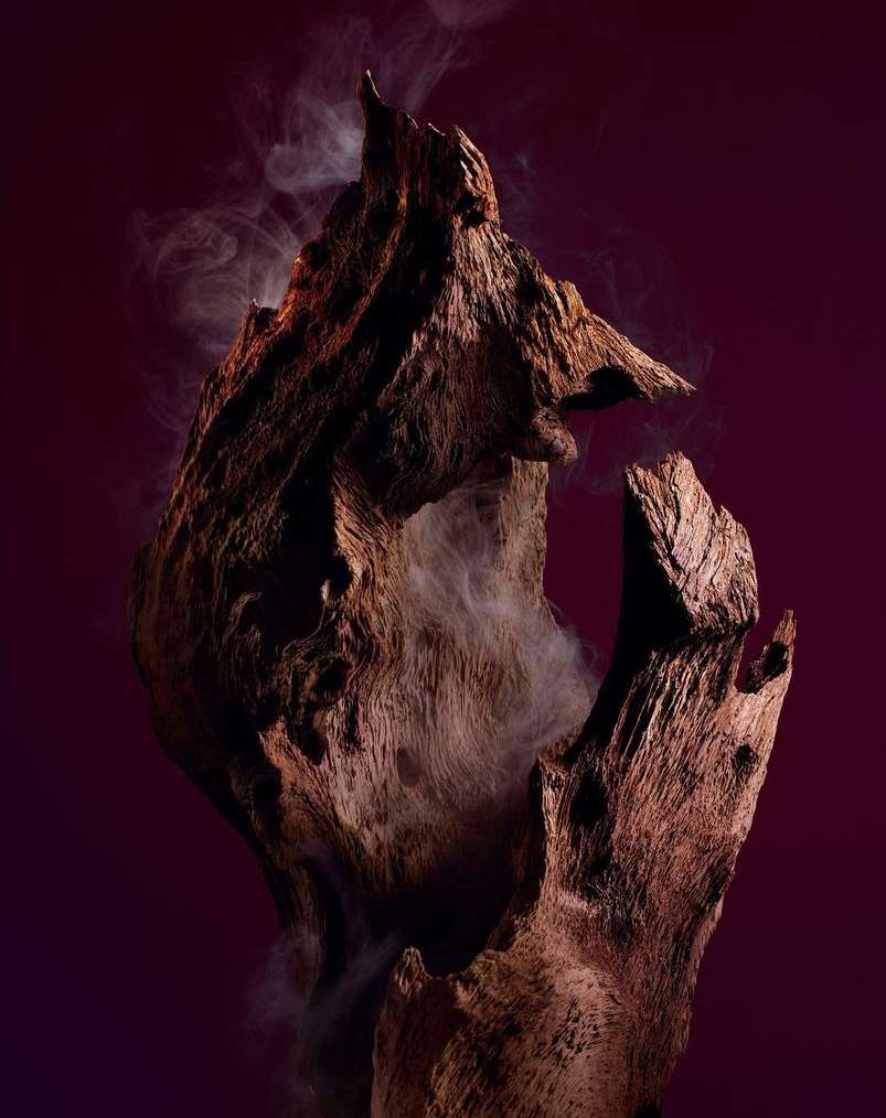 Dramatic studio shot featuring weathered tree trunk, creating a sculptural effect, enhanced by swirling smoke against a dark gradient background.