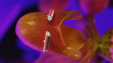 Macro shot of two stud earrings displayed on an orchid flower with purple and pink tones and soft focus.