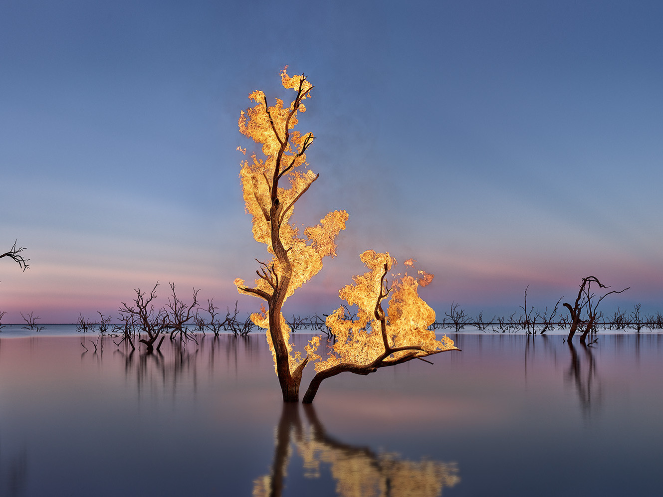 Surreal image of trees seemingly on fire standing in water against a twilight sky, creating a striking contrast.
