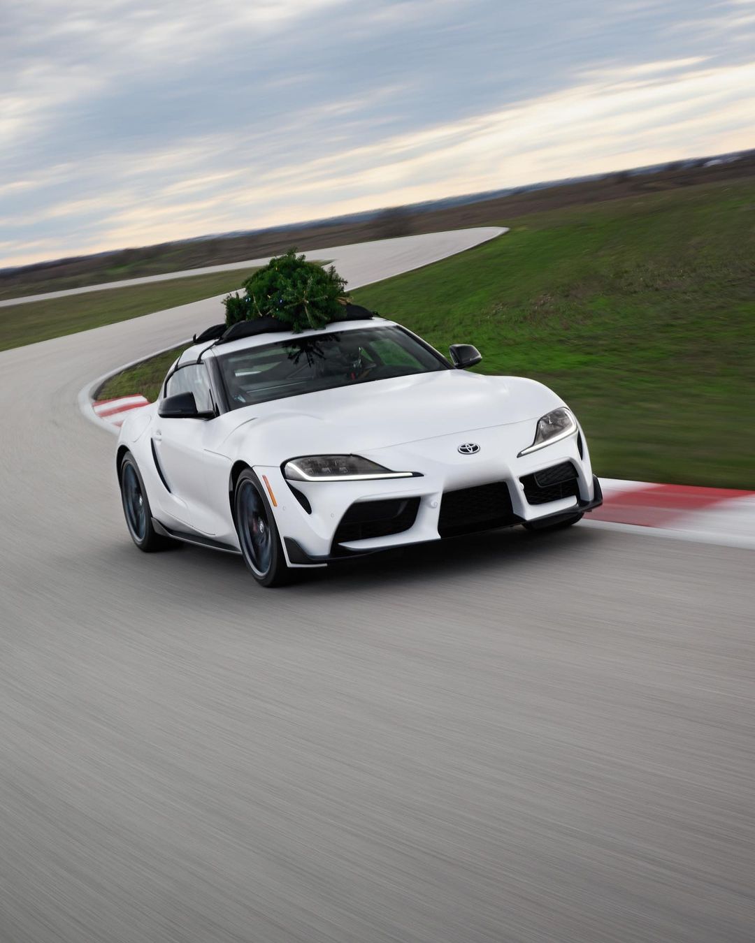 White Toyota Supra sports car is driving on a racetrack while transporting a Christmas tree strapped to its roof in daytime.