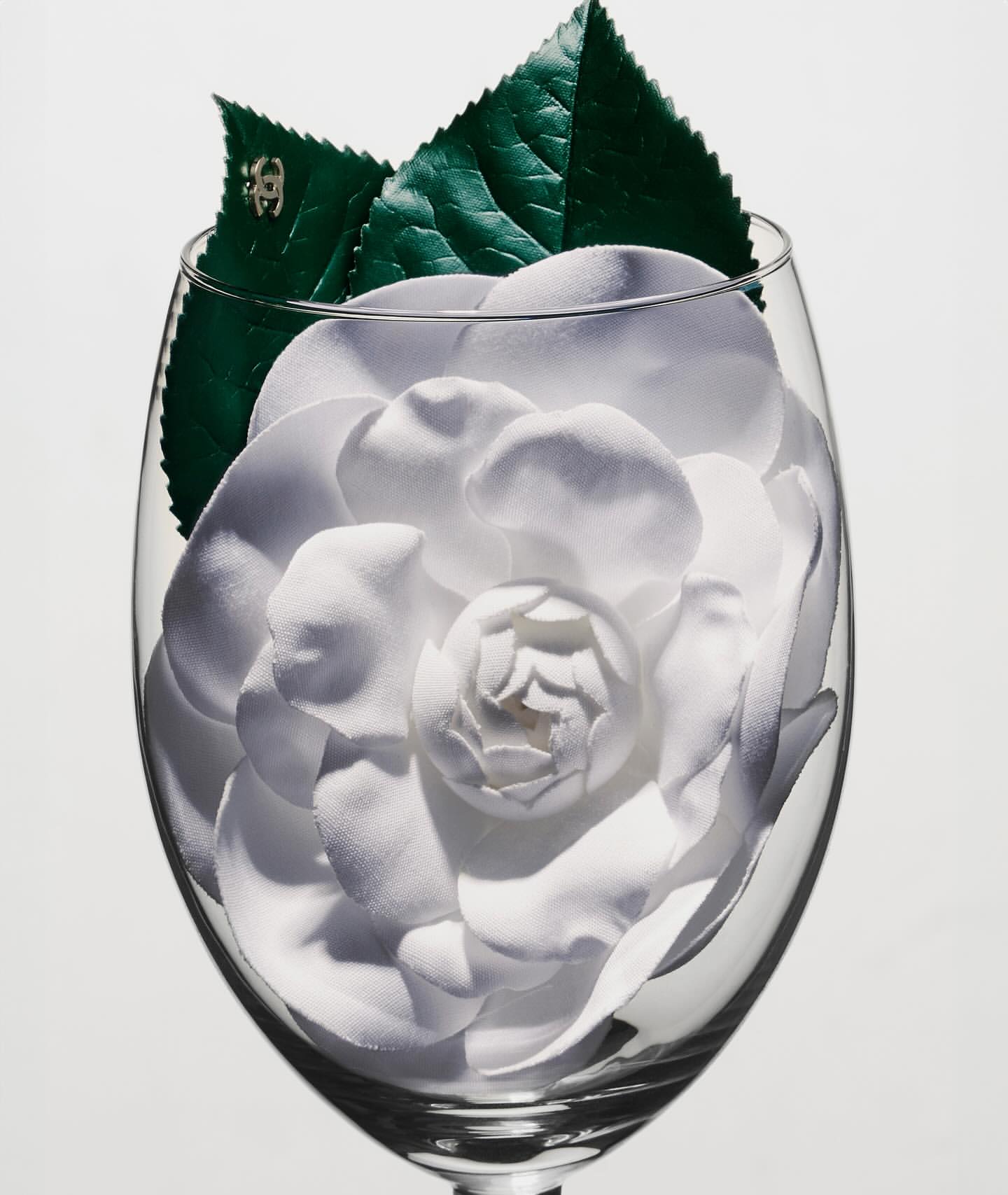 Close-up of a clear wine glass filled with a white flower and two green leaves on a white background, showcasing a beauty or floral theme.