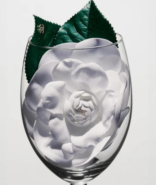 Close-up of a clear wine glass filled with a white flower and two green leaves on a white background, showcasing a beauty or floral theme.