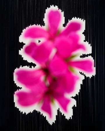 Pixelated close-up of a vibrant pink flower with a white pixelated border against a dark background with blurred vertical lines.