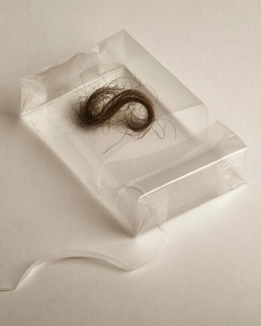 A lock of brown hair sits in a clear plastic case on a white surface, presented in a simple, close-up studio photograph.