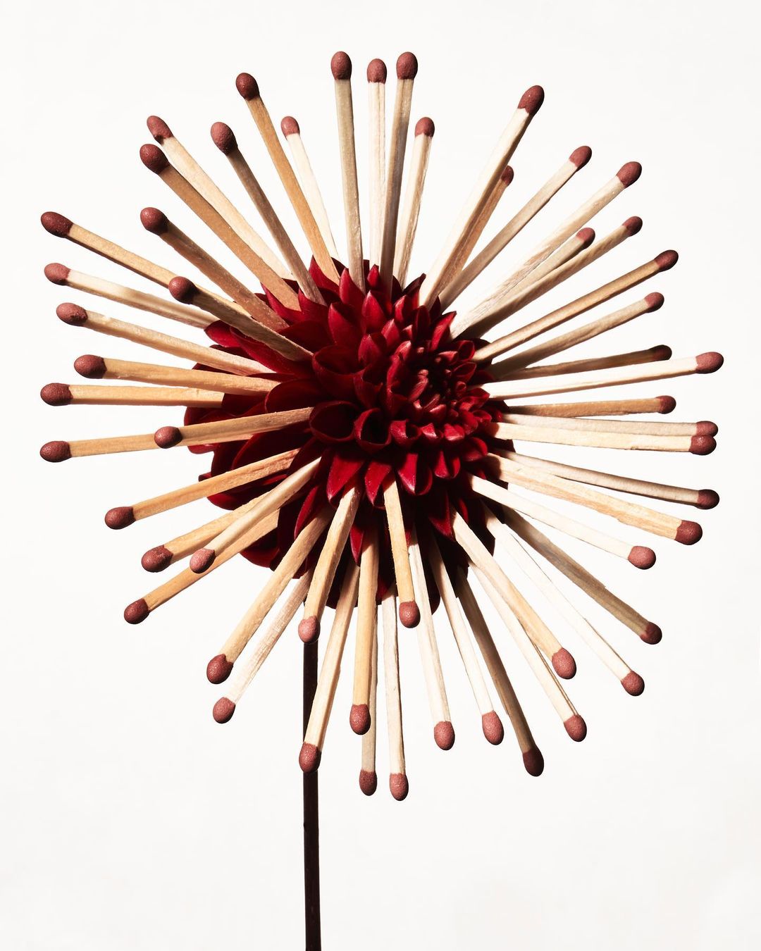 Close-up of a flower-like arrangement crafted from matchsticks with red heads, radiating from a dark red, layered center on a white background.