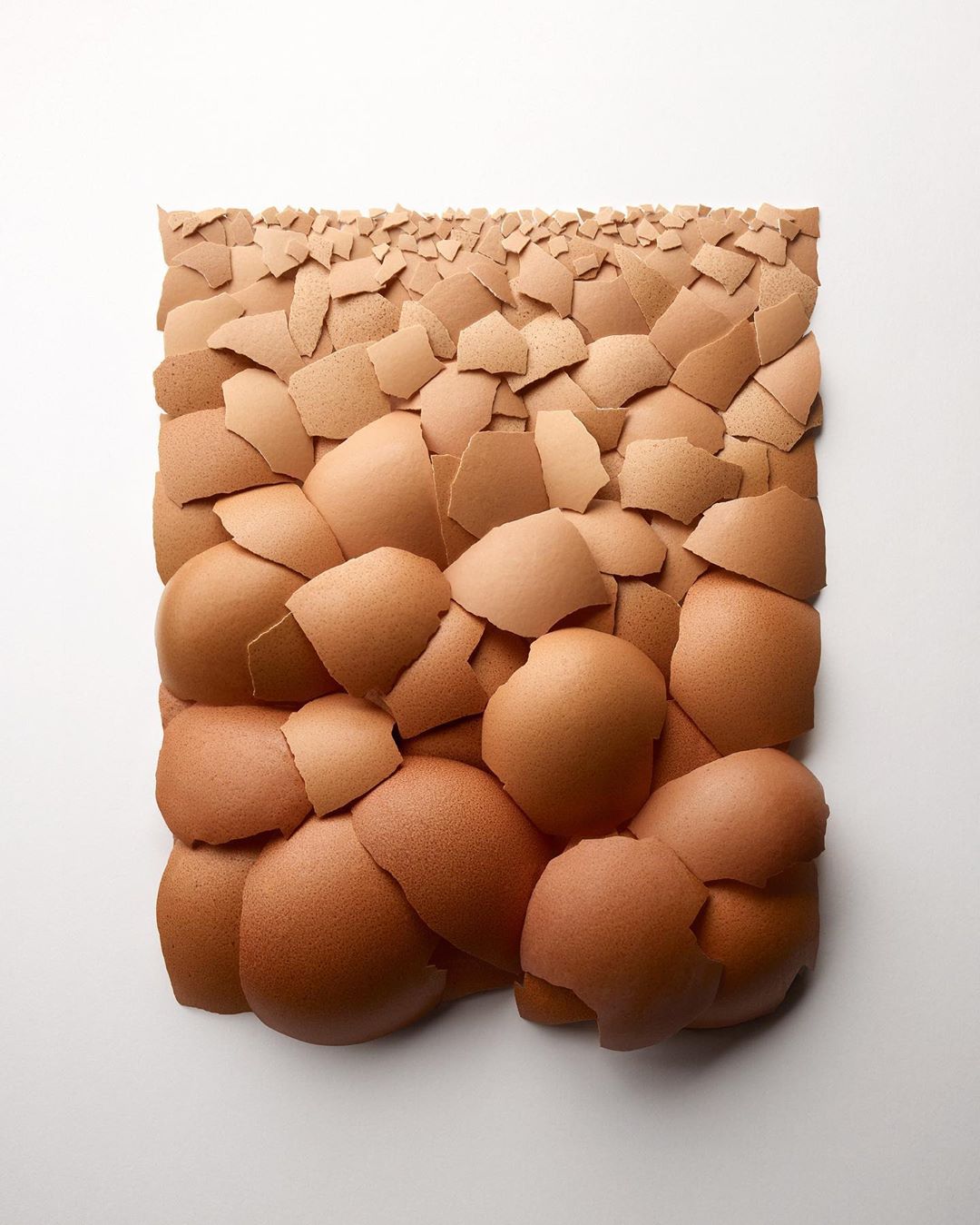 Abstract art piece of arranged and layered eggshells. The arrangement forms a gradient from brown to light beige on a white background.