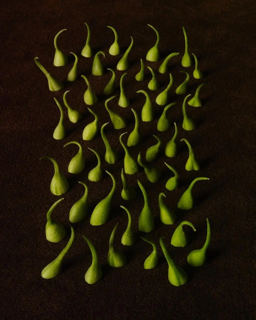 Overhead shot of numerous small, green pepper tops arranged on a textured brown surface, creating a visually appealing pattern.