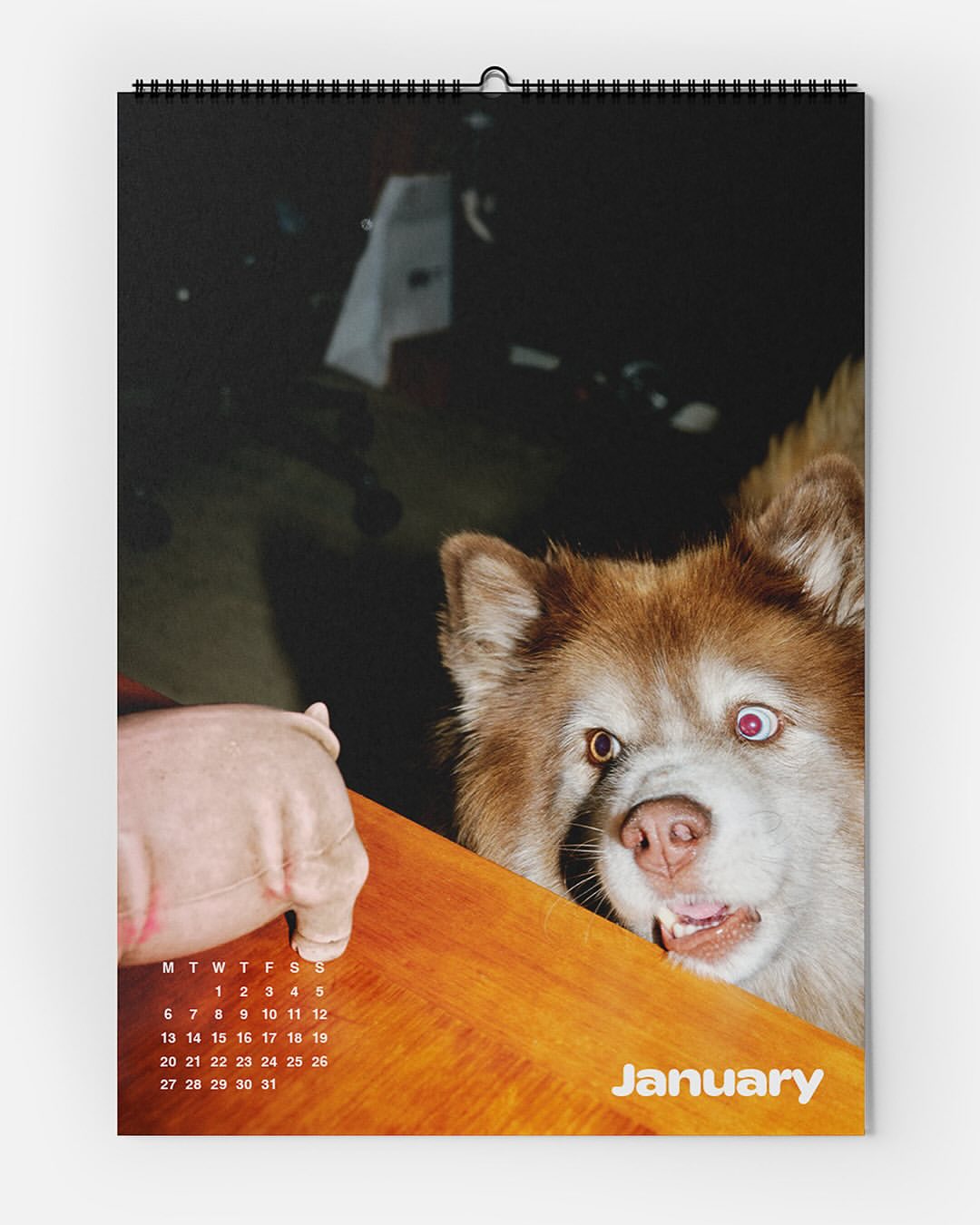 Calendar image features a dog looking toward a hand, set against a dark background with the word 'January' and a calendar grid visible.