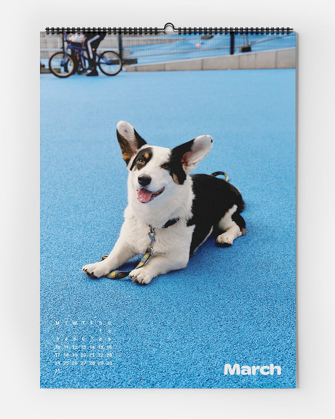 Calendar featuring a cute dog lying on a blue surface, with a bicyclist in the background, for the month of March.