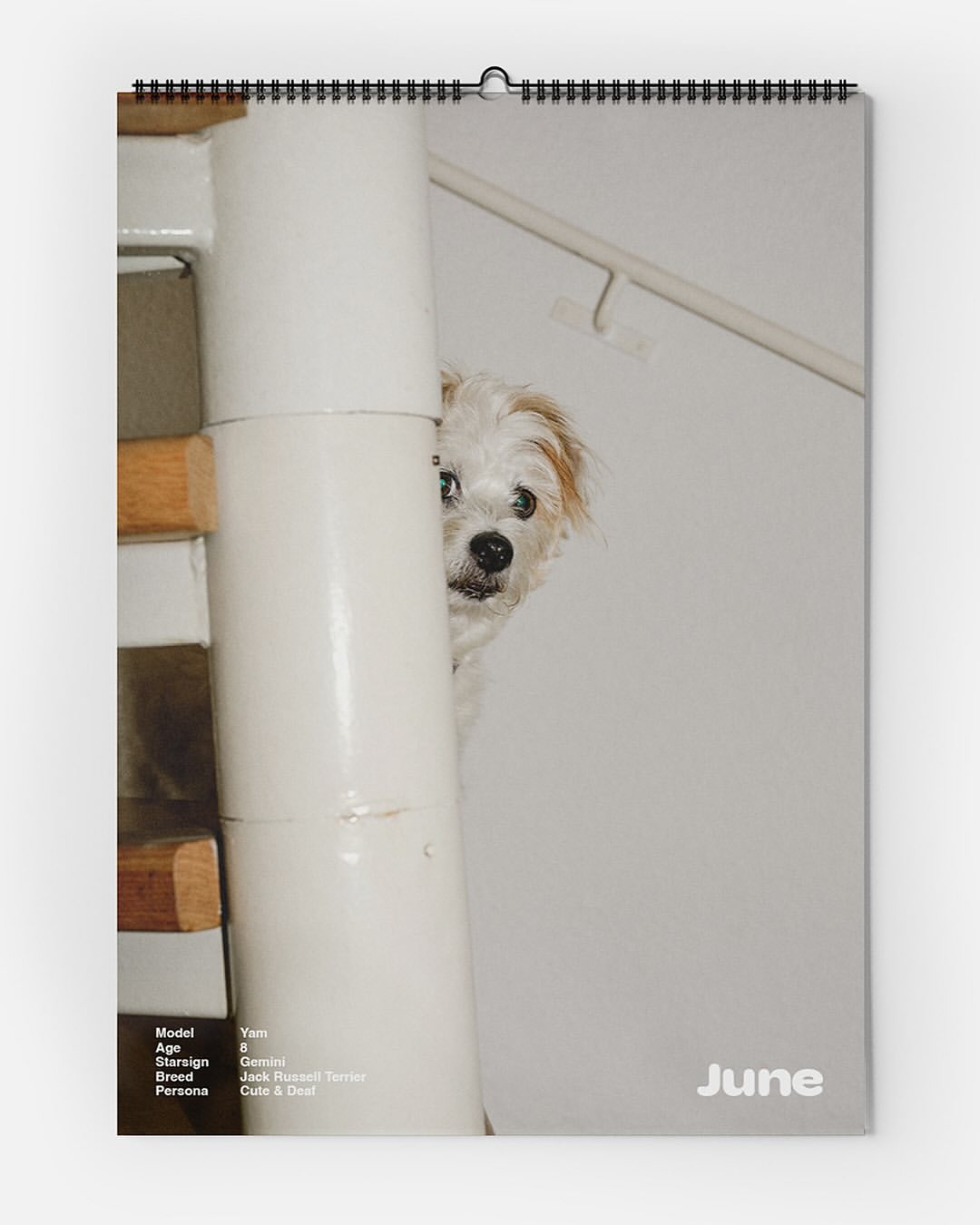 Calendar page featuring a small white dog peeking around a white staircase pillar with light wood railing indoors, a playful, cute moment.