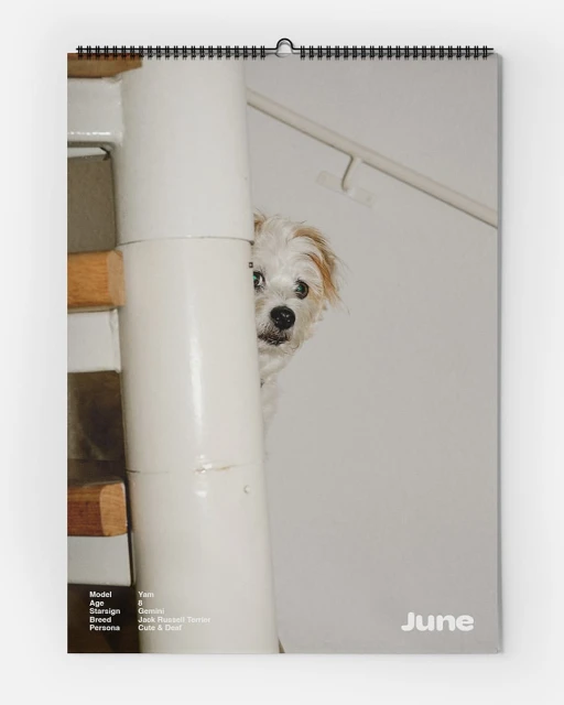 Calendar page featuring a small white dog peeking around a white staircase pillar with light wood railing indoors, a playful, cute moment.