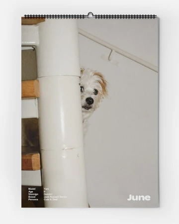 Calendar page featuring a small white dog peeking around a white staircase pillar with light wood railing indoors, a playful, cute moment.