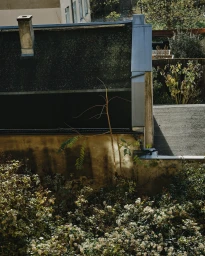 High angle architectural photograph of a rooftop and foliage captured in Berlin by Bastian Thiery.