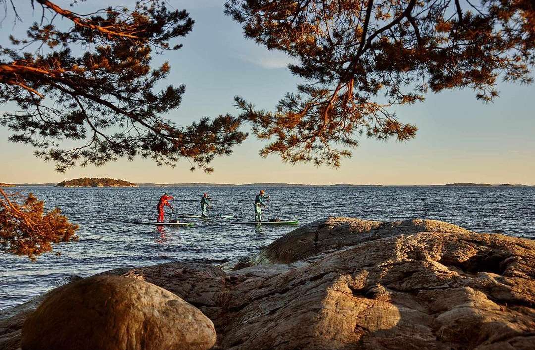 Three people paddleboarding on a calm sea, framed by pine branches and rocky coastline, under a clear sky with warm, golden light.