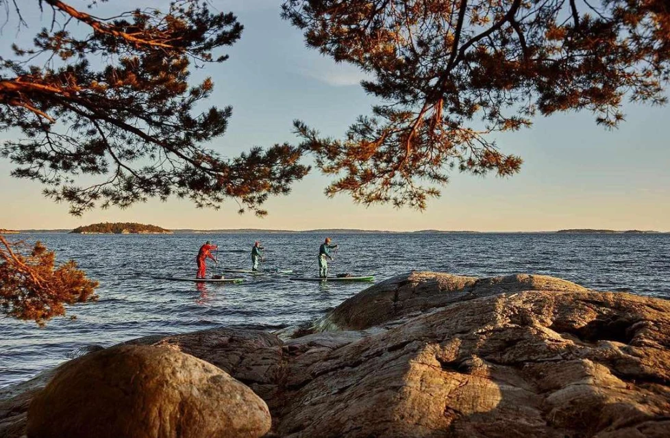 Three people paddleboarding on a calm sea, framed by pine branches and rocky coastline, under a clear sky with warm, golden light.