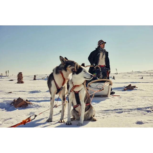 Two husky dogs pulling a sled across a snowy landscape, with a man standing behind the sled under a blue sky in a winter scene.