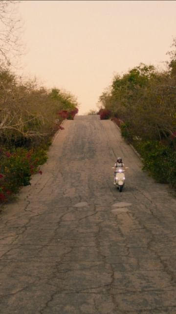 A woman rides a white scooter up a cracked asphalt road lined with green trees and red flowers on a sunny day with a hazy sky.
