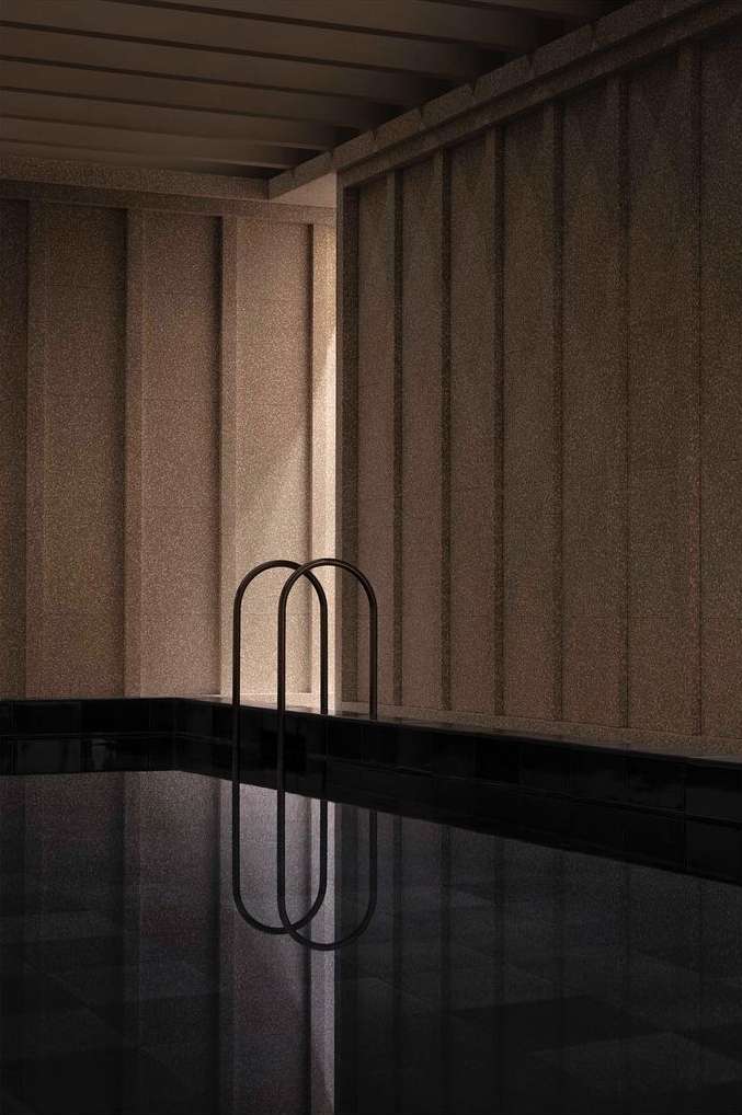 Indoor swimming pool with dark water, surrounded by textured walls and a metal ladder, under dim lighting, creating a tranquil atmosphere.