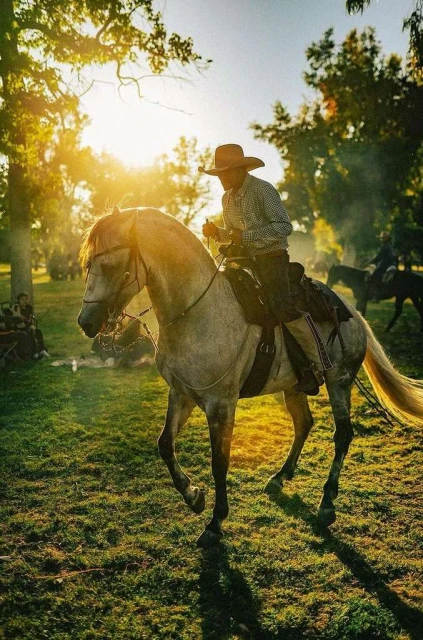 Cowboy riding a grey horse in a grassy field during golden hour with a group of people and other horses blurred in the background.