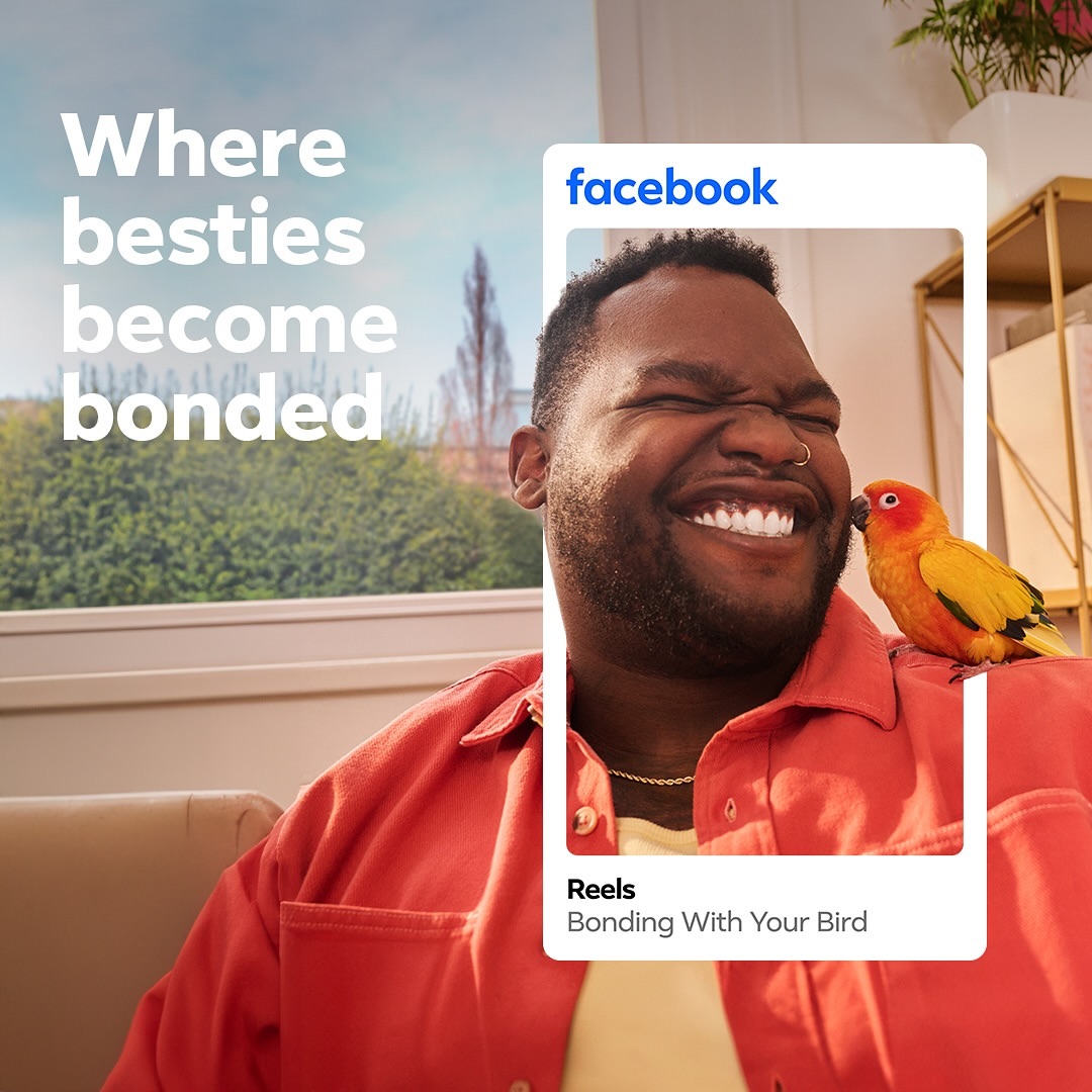 Adult male smiles as an orange and yellow parrot sits on his shoulder, indoors, next to a window, with Facebook logo in frame.