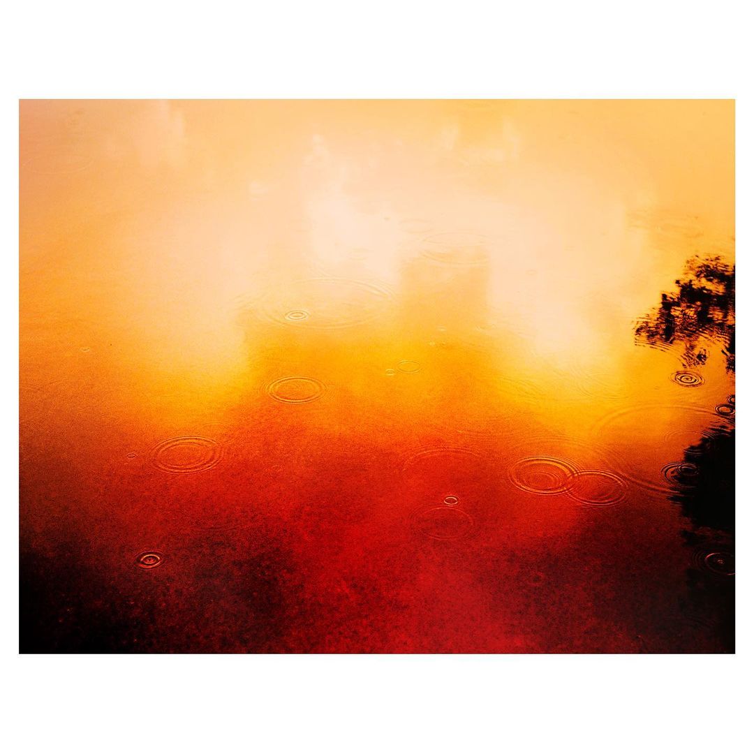 Abstract water surface with ripples, tree branches, and a blend of red, orange, and yellow hues creating a warm and textured reflection.