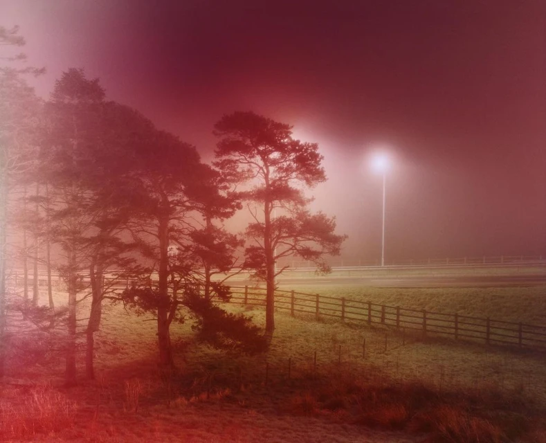 Foggy landscape with tall trees and a distant streetlight creates a serene yet mysterious atmosphere, featuring a wooden fence.