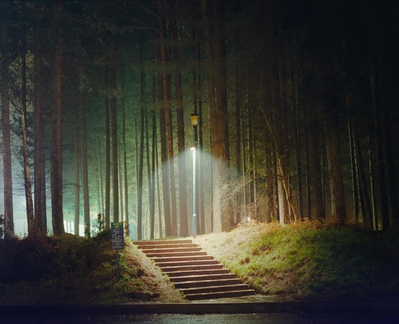 Illuminated stairway and lamp post in a dark forest at night, creating a mysterious and enchanting pathway. Nature and urban elements.